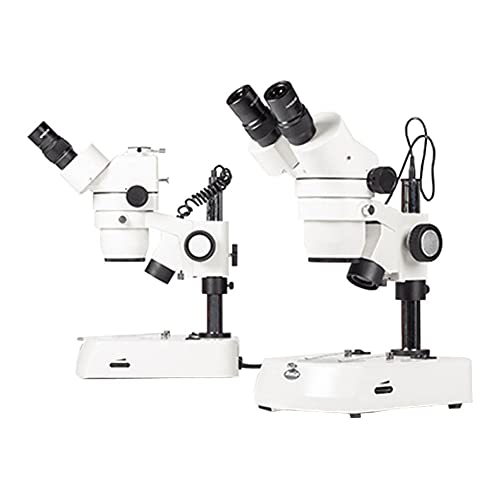 Motic 1100200600781 SMZ140 Binokuláris Sztereó Mikroszkóp, Esemény/Továbbított LED-es Stand